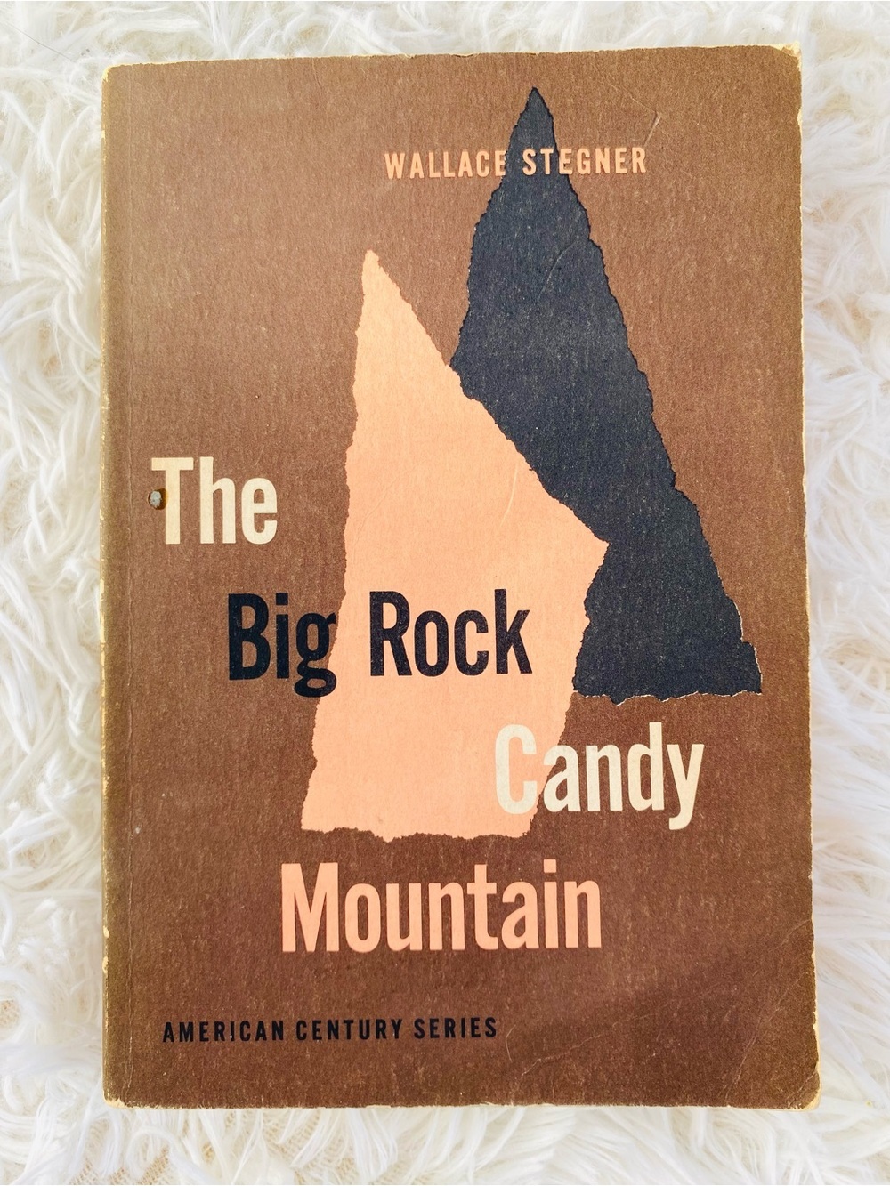 Wallace Stegner The Big Rock Candy Mountain 1957 Vintage Paperback